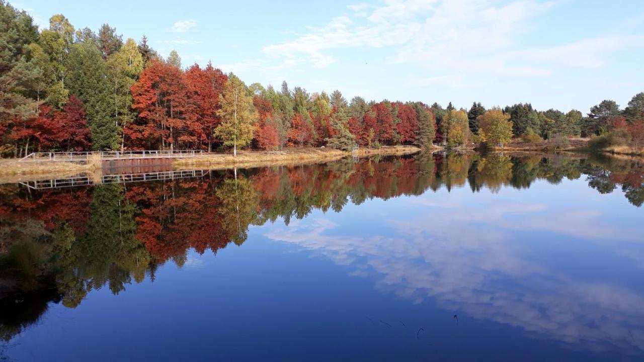Naturhotel Hof Ehlers Bergen  Luaran gambar