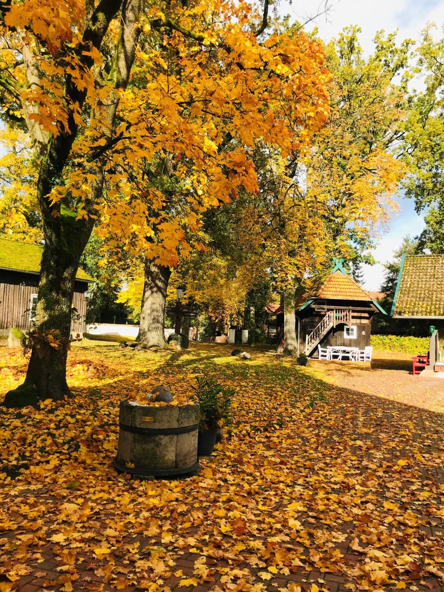 Naturhotel Hof Ehlers Bergen  Luaran gambar